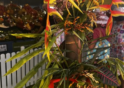 20250330_004803225_iOS