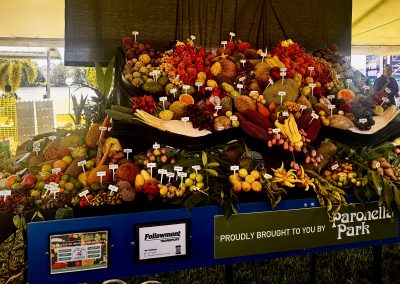 20250330_004813707_iOS