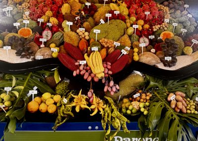 20250330_004848923_iOS2