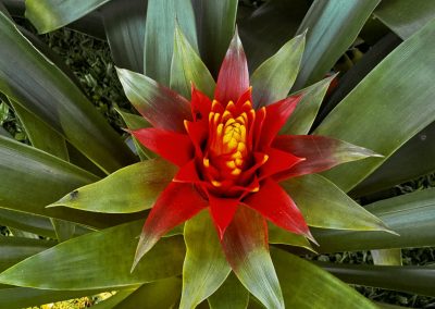 20250330_010721217_iOS